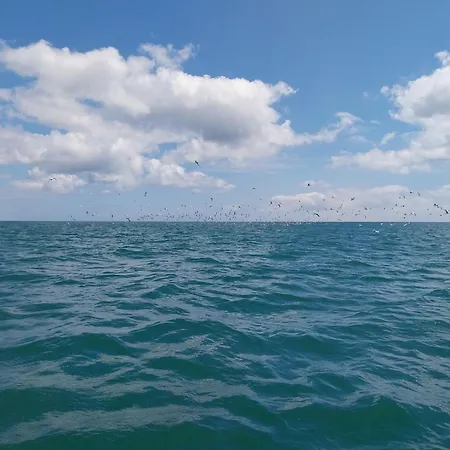 Lejlighed De La Mouette Le Bigorneau Nid Cotier 2 Personnes Ravenoville