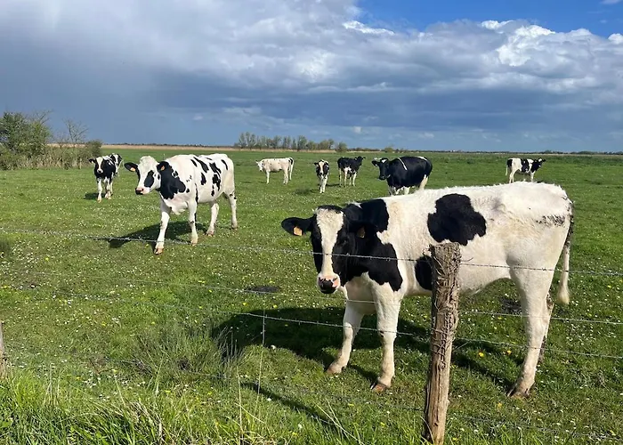 De La Mouette Le Bigorneau Nid Cotier 2 Personnes * Ravenoville