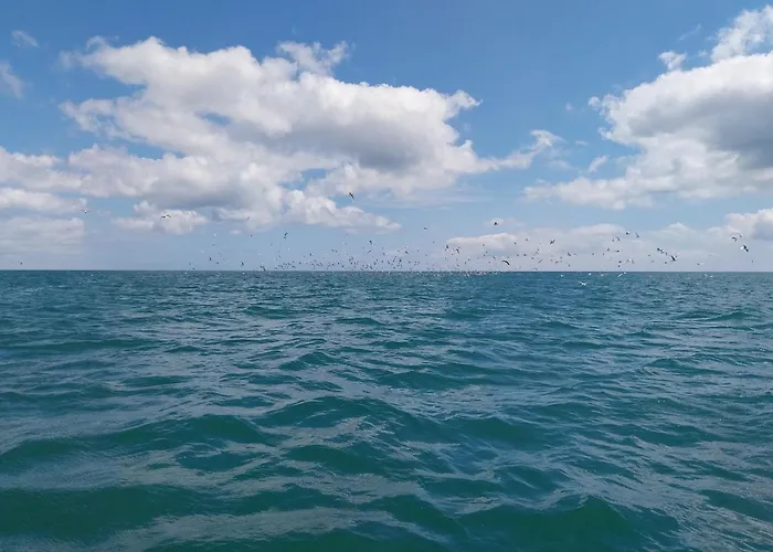 Lejlighed De La Mouette Le Bigorneau Nid Cotier 2 Personnes Ravenoville